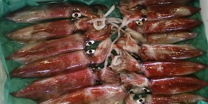 釣り船　三光丸